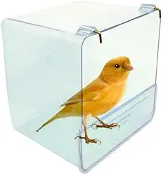 Banheira para pássaros externa 500ml Toco Tucano (Azul)