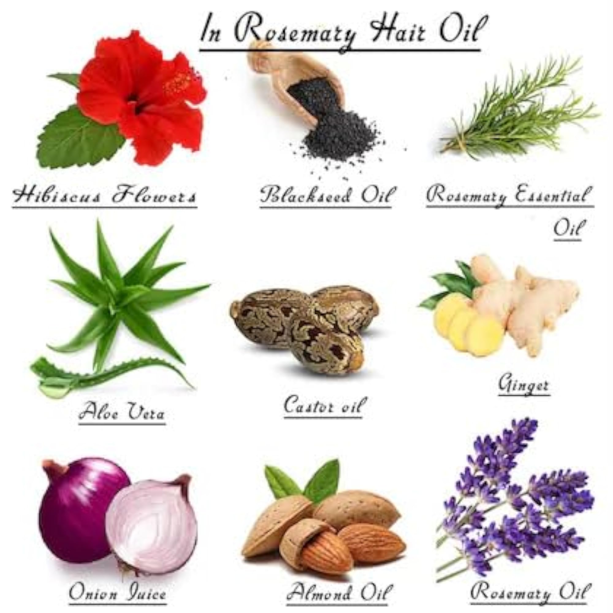Rosemary Hair Oil For Hair Fall Control & Hair Growth, 250ml