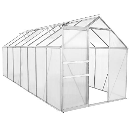 Zelsius Aluminium Gewächshaus für den Garten | 430 x 190 cm | 6 mm Platten | Vielseitig nutzbar als Treibhaus, Tomatenhaus, Frühbeet und Pflanzenhaus