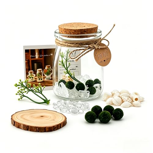 Moss Balls Glass Terrarium Kit - 5 Decorative Green Balls with Glass Jar, White Crystal, DIYAquarium...