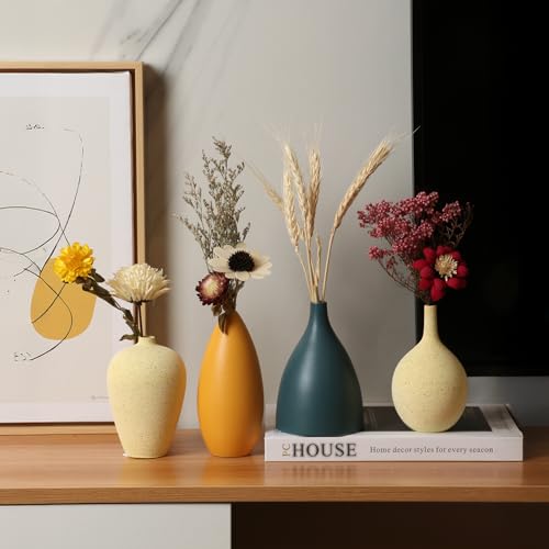 DecoVlog Colorful Ceramic Vase Set of 4, Minimalist Rustic Vases