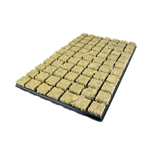 Cubo Rockwool 3,5x3,5 in Vassoio da 77 pz