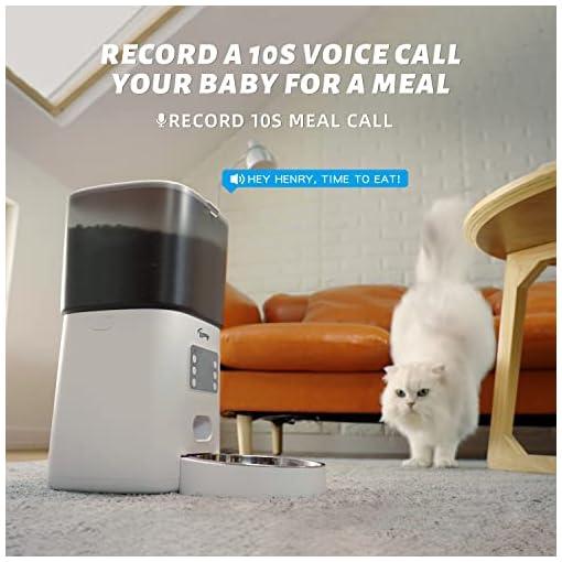 Toozey Automatic Cat Feeders, 6L Timed Cat Dog Feeder Pet Dry Food