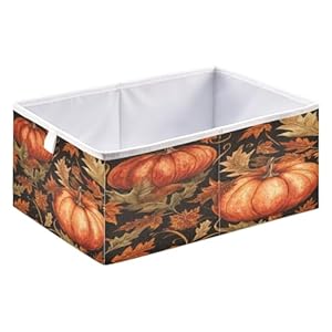   Bolaz-Vintage-Pumpkin-Maple-Leaf-Closet-Organizers-Storage-Cubes-Storage-Bins-Shelf-Baskets-Containers-for-Home-Room-OfficeSquare