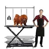 Garvee Electric Dog Grooming Table, Height Adjustable Pet Grooming Table w/Anti-Slip Foot, Dog Grooming Arm, Anti Slip Tabletop & Tool Organizer/Dog Grooming Station, 47 in/Black