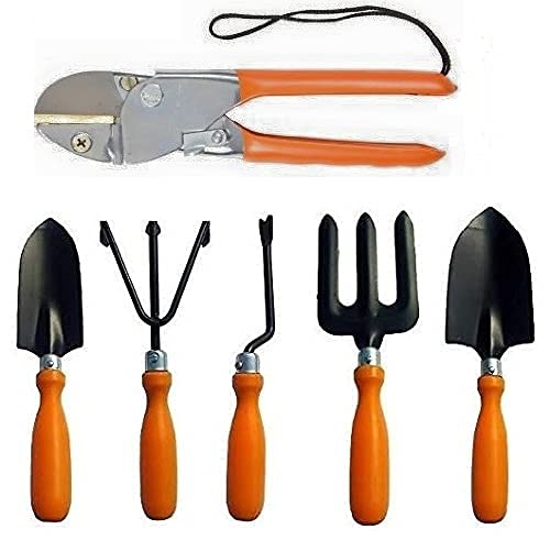 DGK Gardening Tools Set Kit of 5 and Heavy Duty Tejas Cutter(for Garden & Agriculture Purpose) (B09HNPHSGT) Amazon Price History, Amazon Price Tracker