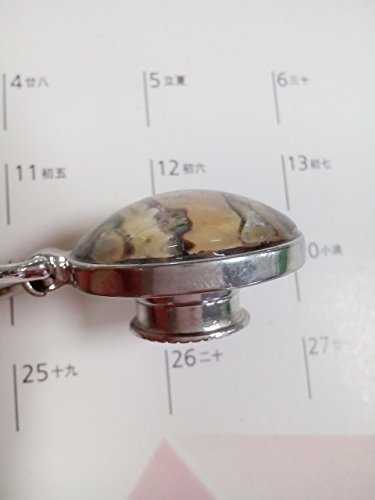 Image of Transparent Glass Natural Abalone Paua Shell Magnetic Eyeglass Holder for Shirt