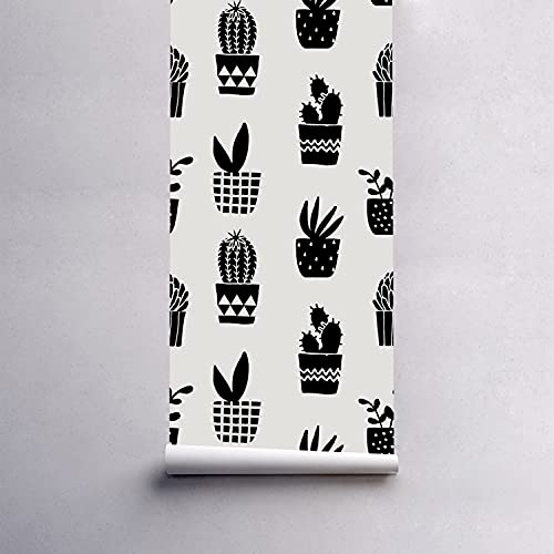 Papier peint meuble chambre salon cuisine Coloray 250x250cm cactus