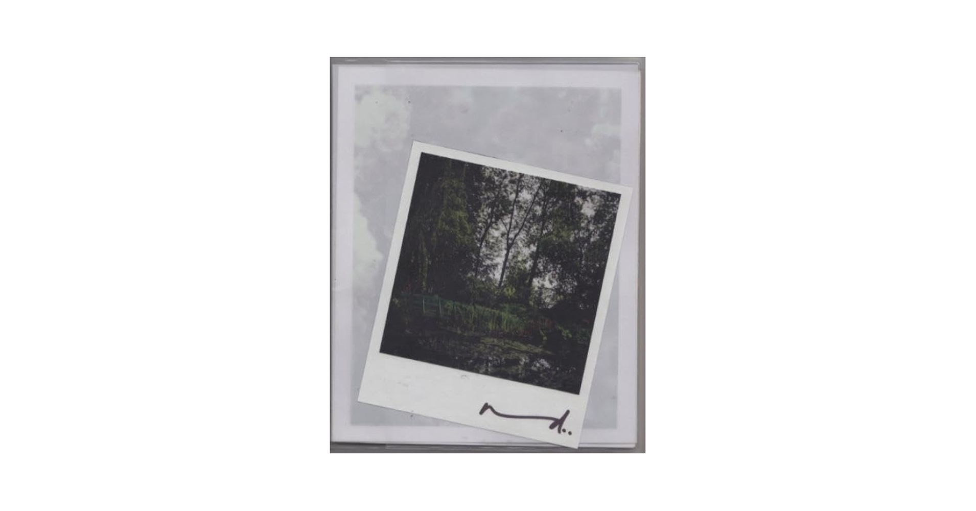 Amazon.co.jp: Darren Almond: Civil Dawn @ Giverny : Almond