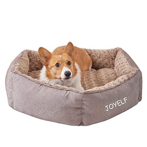 JOYELF Dog Bed Washable Calming Pet Bed, Anti Anxiety Cat Bed & Sofa, Cute Plush Pet Bed for Medium Dog and Cat - Medium Hexagon