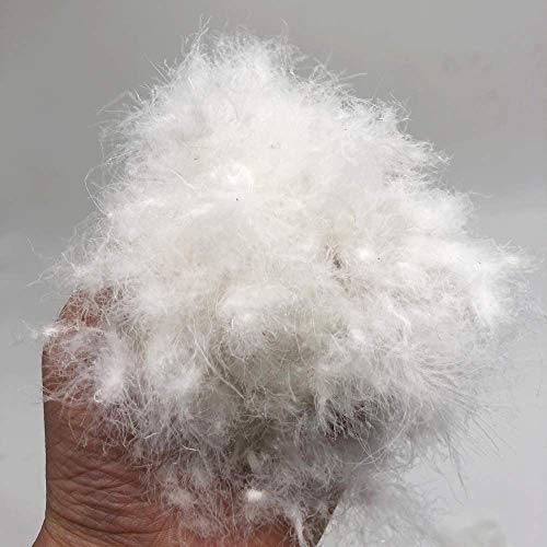 Ivie 100 grammes de Garnissage Naturel sans Plumes 100% Duvet d'Oie pour Oreiller Garnissage en Masse Puissance de Remplissage 900