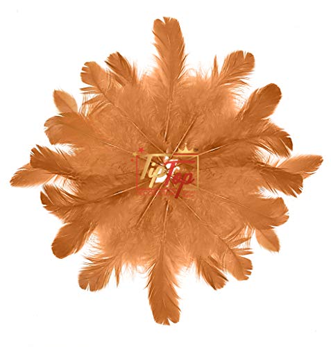 Image of TIPTOP DECORATION Natural Dyed Feathers 10 cm (80 pieces) (Light Brown)