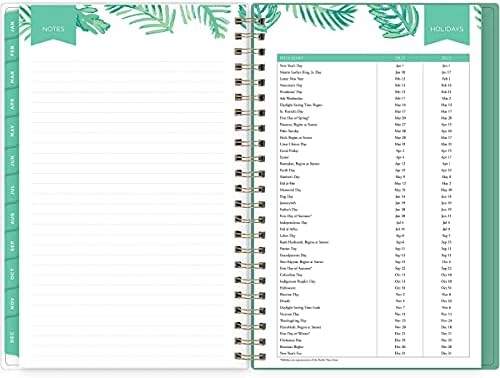 Blue Sky Day Designer for 2021-2022 Academic Year Weekly & Monthly Planner, 5' x 8', Frosted Flexible Cover, Wirebound, Palms (132264)