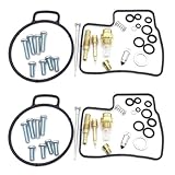 Con dimensiones precisas, este kit de reparación de carburador le ayudará a reparar y calibrar su carburador, optimizando su funcionamiento.