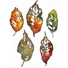 Sizzix Thinlits Die Set 5PK Leaf Fragments by Tim Holtz, 665559