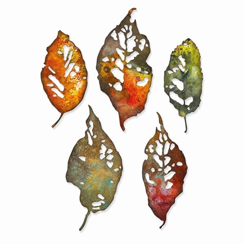 Sizzix Thinlits Die Set 5PK Leaf Fragments by Tim Holtz, 665559