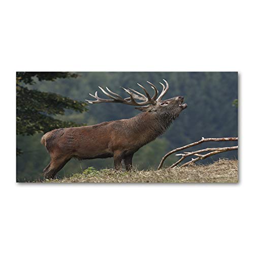 Dosseret en verre fond de hotte 100x50cm Tulup splashback guard cuisine animaux brun