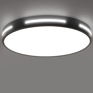 Dehobo LED Ceiling Light 30W Ceiling Light Cold White 6000K Modern Ceiling Light Lamp Round 2500LM Flush Mount Ceiling Lig...