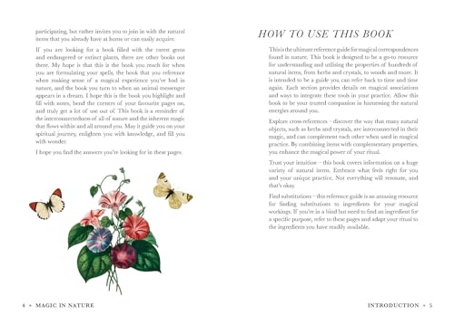 A Practical Guide to Magic in Nature - Image 7