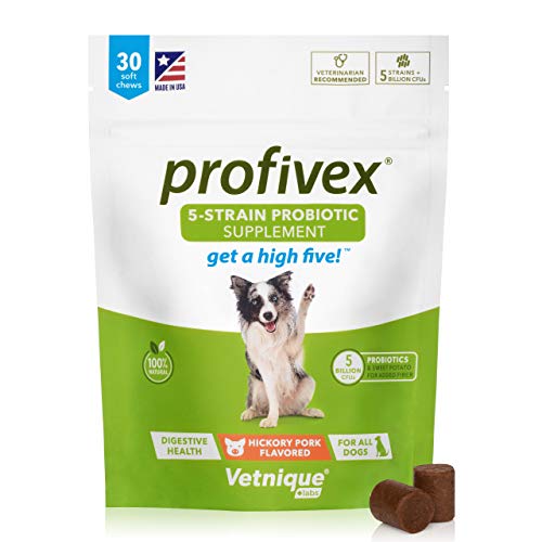 Profivex Probiotics for Dogs Soft Chews Daily Chewable Pet Digestive Treats All-Natural 5 Strain Dog Probiotics with Prebiotics & Added Fiber from Sweet Potato - by Vetnique Labs (30-Count)