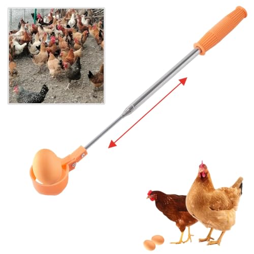 Eierfanggerät für HühnerEier – Verlängerbares Edelstahl-Eiergriffwerkzeug mit Rutschfestem Griff, Langreichweites Eierheber für die Sammlung frischer Eier aus Kükenstall, Vogelnest und landwirtschaftl