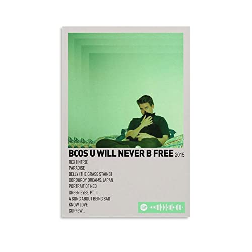 Rex Orange County toile art mural musique poster album imprimé 50x75cm décoration chambre