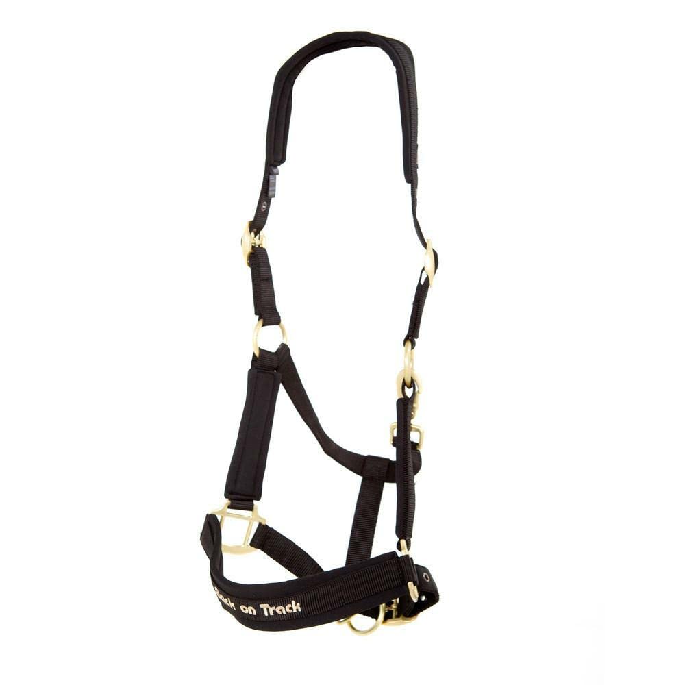 Back on Track Cabestro Werano