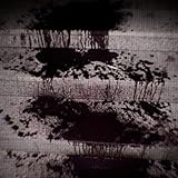  Blood on the Dance Floor [Explicit]