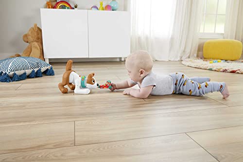 Fisher-Price 123 Crawl with Me Puppy – Ansicht 4