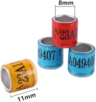 50Pcs 2024 2025 Multicolor Pigeon Foot Ring with Word Foot Ring Durable Bird Ring Pet Bird Marking Ring Bird Supplies (2024,Black)
