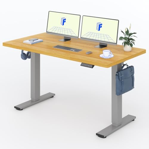FLEXISPOT Höhenverstellbarer Schreibtisch Basic