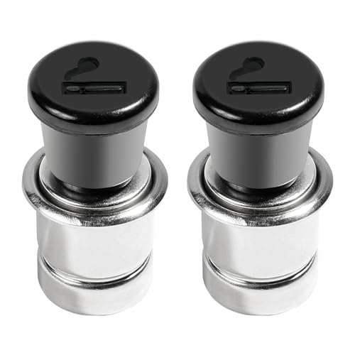 Flaconi 2 Pièces Allume Cigare Voiture,Pieces Auto,Allume Cigare,Allume-Cigare de Voiture,Allume-Cigare 12 V,D'allumage De Cigarette Automatique De 20mm pour La Plupart des Véhicules Automobil
