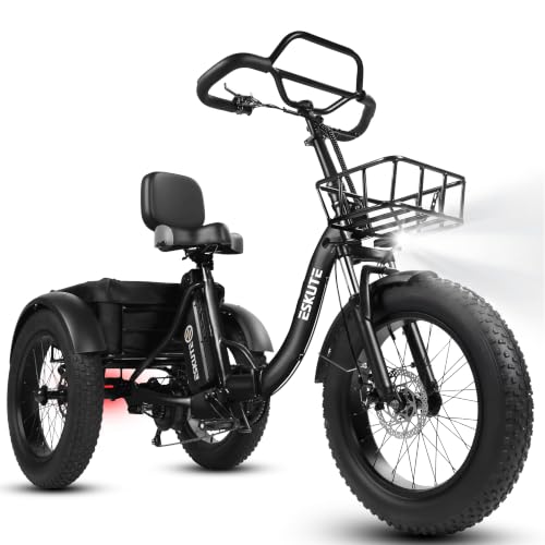 ESKUTE T300 Pro Electric Trike