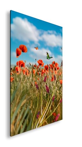 Farbenhorizont Leinwandbild Schmetterlinge tanzen über Mohn im Sommerwind Format: 60x40cm XXL Wandbild auf Keilrahmen/Kunstdruck/Bild Wohnzimmer Dekoration