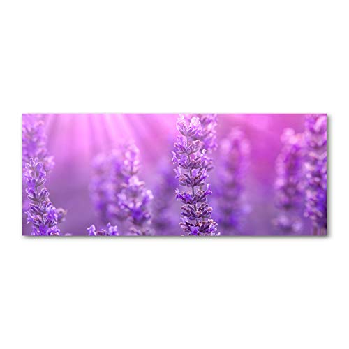 Crédence de cuisine 125x50cm en verre trempé violet motif lavande