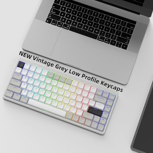Image of Womier Low Profile Keycaps - Shine Through Keycaps 60 65 75 100 Percent | Keyboard Key caps PBT Full Size for Cherry Gateron MX Switches Mechanical Keyboard, Grey /White