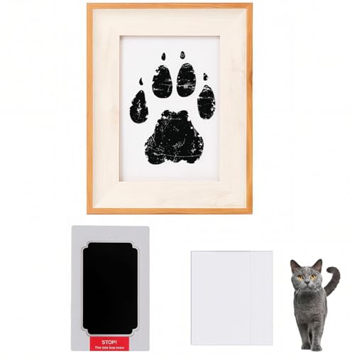 Lifetips Vg[ Chartreux ybgp  X^v Lbg ^  ``X^v `쐬Lbg LO  Ȃ `    ` ^ ȒP S y Ճpbh IWi vg ] 