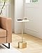 AEPOALUA Drink Table Pedestal, Round Side Table, Drink Tables for Small Spaces, Pedestal End Table, Small Pedestal Table (Gold)