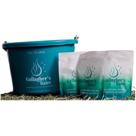 Gallagher's Water All-Natural Equine Hydration Treat - Enhancement Powder Mix Horse Drink Treat to Help Encourage to Drink Water - Made with All Natural Ingredients, FEI Compliant, 12 Pack Cover