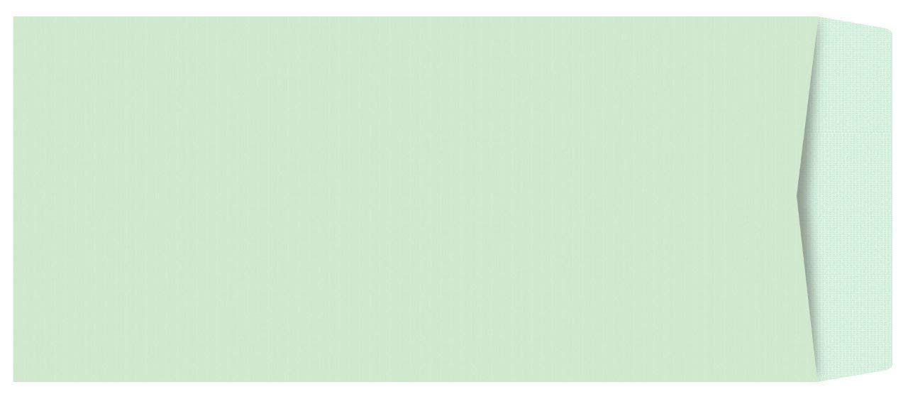 NSSP 11x5 Inch Cloth Line Courier Cover,Courier Envelopes,Courier Cover