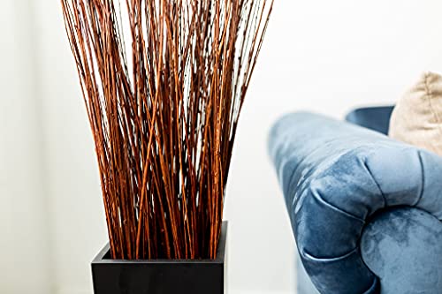 Green Floral Crafts | Dried Asian Willow Decorative Branches - Perfect Home Decoration And Floor Vase Filler (Brown, 4-5 Feet) #TOP2