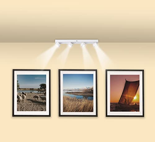 Image of LIGHT IT! by Fulcrum, 30037-308 WRC LED Fastrack Light, White, Single Pack