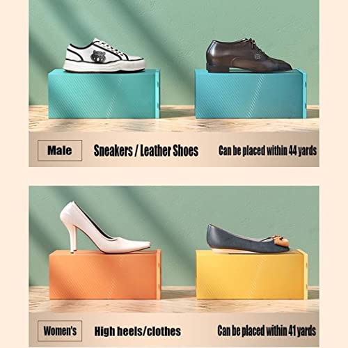 Boîte de rangement chaussures plastique rigide bleu boîte transparente lot 6 - 6