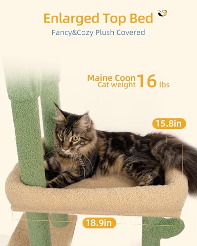 Aechonow Cat Tree Floor to Ceiling with 18.9in Big Perch Bed and Condo for Large Adult Cats, 86in-108in Heavy Duty Cat Tower for Indoor Cat Pet, Cactus Green