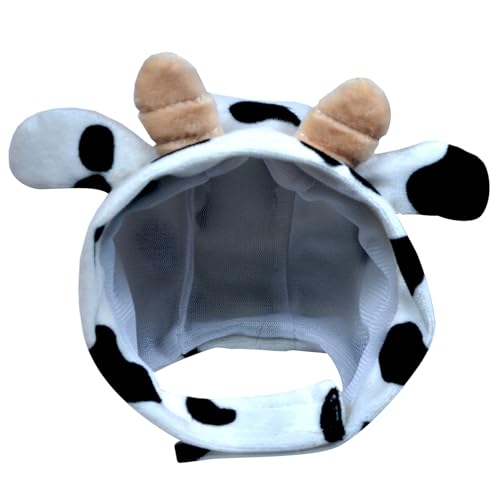 킢Xq L hXAbv RX`[ ybg  Lbv t ۉ Xq RXv ANZT[ p ybg RX`[ p Aj qL lbNC[EH[}[ ^ 