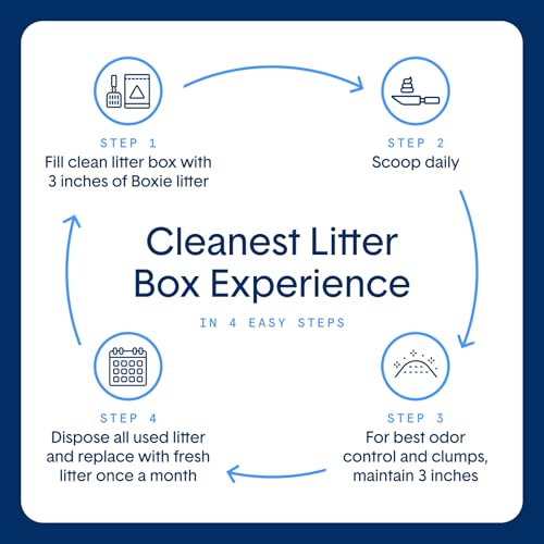 Boxie® Unscented 30 Day Natural Odor Control Cat Litter, 40lb Clumping Clay Kitty Litter - Thumbnail 5