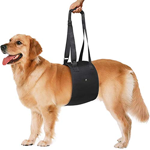 WPCASE Arnes Antitirones Perro Arnes De Pecho Perro Arnes Perro Acolchado Collar Antitirones Perro Arnes Perro Antitirones Arnes Canicross Arnes Perro PequeñO Arnes Perro Grande Black,s