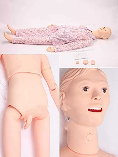 Mannequin de soins infirmiers 160 cm modèle anatomique complet