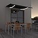 Gelenkarmmarkise Einziehbar ,Geeignet für Garten, Veranda, Pergola, Rasen, Balkon, Terrasse,Markise,mit LED 300x250 cm Anthrazit