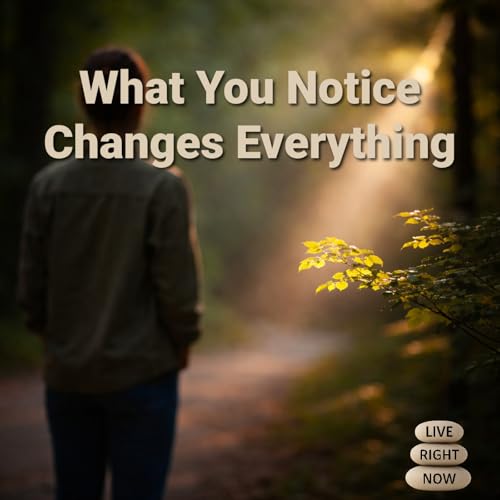 What You Notice Changes Everything: How Attention, mindfulness, and gratitude shape your daily experience